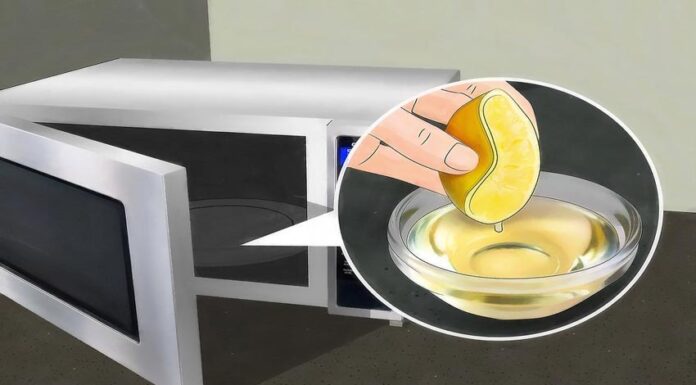 The Ultimate Guide to Odor Removal: A Microwave Miracle