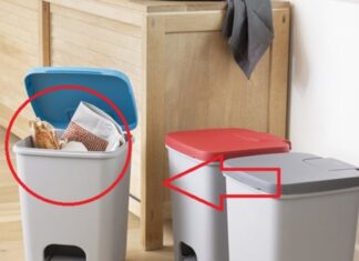 The 3 Bin Placement Spots That Bring Bad Luck and Financial Loss: Where Are They?