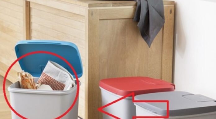 The 3 Bin Placement Spots That Bring Bad Luck and Financial Loss: Where Are They?