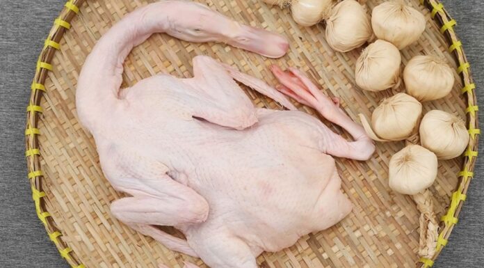 “Duck Meat: A Nutritional Powerhouse. Choose Duck with Confidence for a Hearty, Flavorful Dish.”