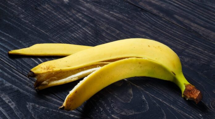 The Citrus Peel “Treasure”: A Natural House-Cleaning Wonder You May Be Wasting.