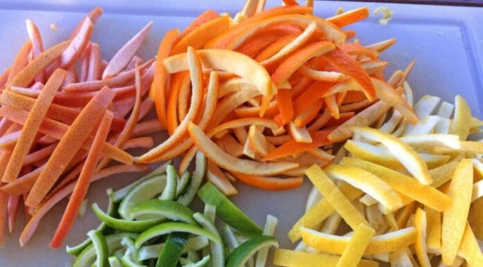 “Don’t Throw Away These 3 Types of ‘Trash’. Bottle Them Up and Use Them to Nourish Your Plants!”