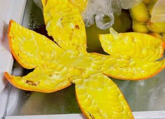 “Don’t Toss Those Pomegranate Peels! Feed Your Plants and Repel Insects.”