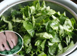 Why Do People Crumble Rau Ngót Before Cooking?
