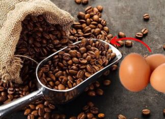 The Magic of Egg Shells: Supercharge Your Coffee with This Unexpected Hack