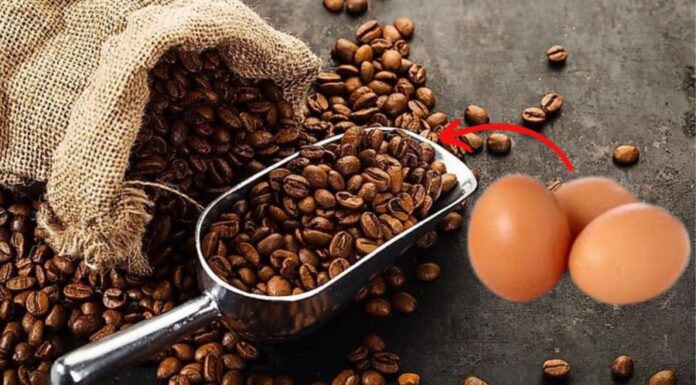 The Magic of Egg Shells: Supercharge Your Coffee with This Unexpected Hack