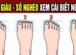 The 3 Signs of Good Fortune: Are You or Your Friends Blessed With These Lucky Foot Omens?