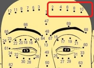 The Reincarnated Bodhisattva’s Mole: A Symbol of Peace and Fortune