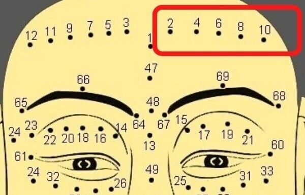 The Reincarnated Bodhisattva’s Mole: A Symbol of Peace and Fortune