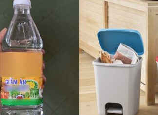 Why Spray White Vinegar into the Trash Can?