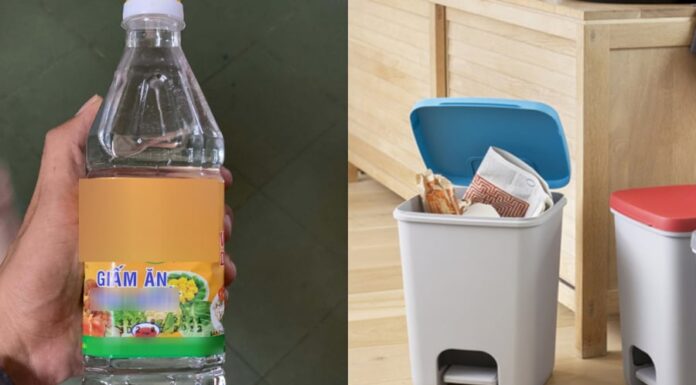 Why Spray White Vinegar into the Trash Can?