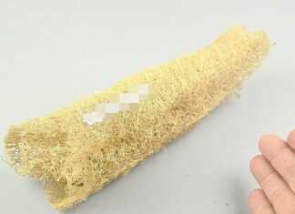 The Magic of Loofahs: Uncover the Ultimate Bath Time Companion