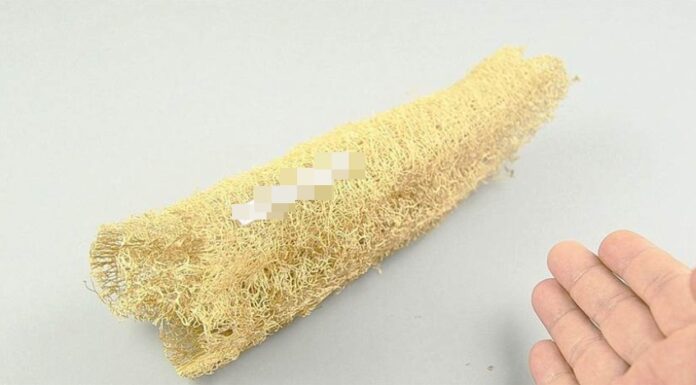 The Magic of Loofahs: Uncover the Ultimate Bath Time Companion