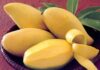 “The Ultimate Guide to Picking the Perfect Mango: Spot the Ripeness, Taste the Sweetness”
