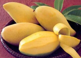 “The Ultimate Guide to Picking the Perfect Mango: Spot the Ripeness, Taste the Sweetness”