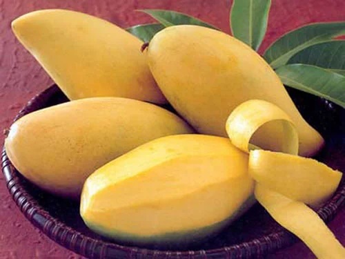 “The Ultimate Guide to Picking the Perfect Mango: Spot the Ripeness, Taste the Sweetness”