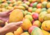 How to Tell if a Mango is Ripe: Natural vs Chemically Ripened