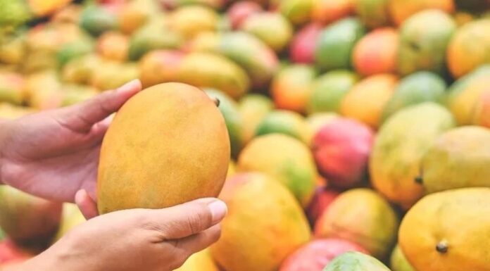 How to Tell if a Mango is Ripe: Natural vs Chemically Ripened