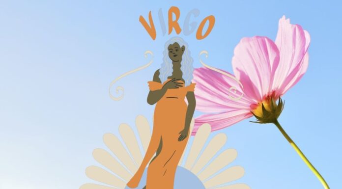 The Perfect Wife: A Woman Born on These Lucky Days