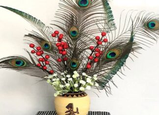 The Mystical Significance of Peacock Feathers in Feng Shui