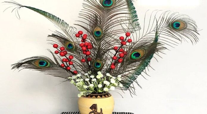 The Mystical Significance of Peacock Feathers in Feng Shui