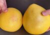 The Secret to Finding the Sweetest Grapefruit: 5 Key Indicators Revealed