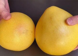 The Secret to Finding the Sweetest Grapefruit: 5 Key Indicators Revealed