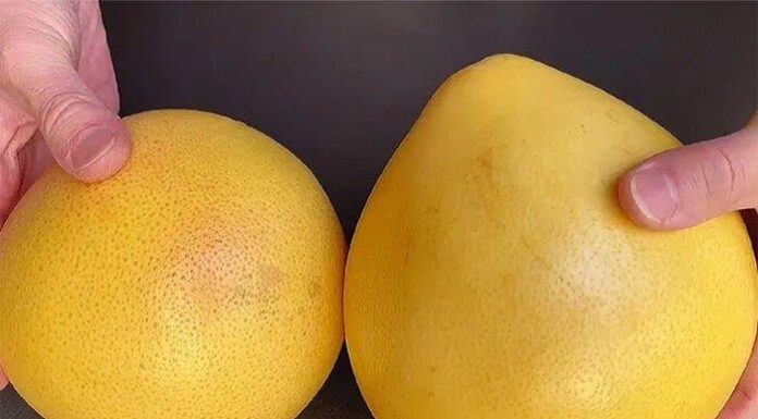 The Secret to Finding the Sweetest Grapefruit: 5 Key Indicators Revealed