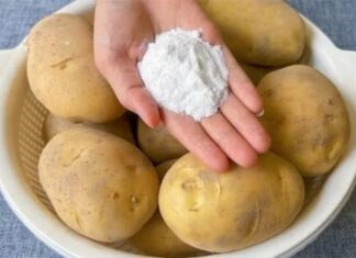 The Ultimate Guide to Potato Storage: Keep Them Fresh, Green and Sprout-Free All Year Round