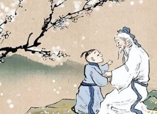 The Ancestral Teaching: “Don’t Chop Down These 3 Trees, Even in Poverty; Your Descendants Will Be Protected”