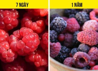 10 Long-Life Foods That Will Outlive You (Almost!)