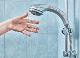 The Shower Head: A Breeding Ground for Bacteria and an Easy, Effective DIY Clean.