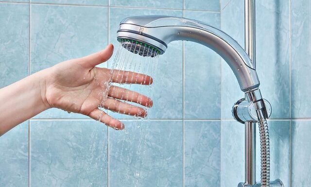 The Shower Head: A Breeding Ground for Bacteria and an Easy, Effective DIY Clean.