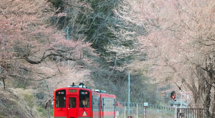 Cherry Blossom Bliss: A Vintage Train Station Escape