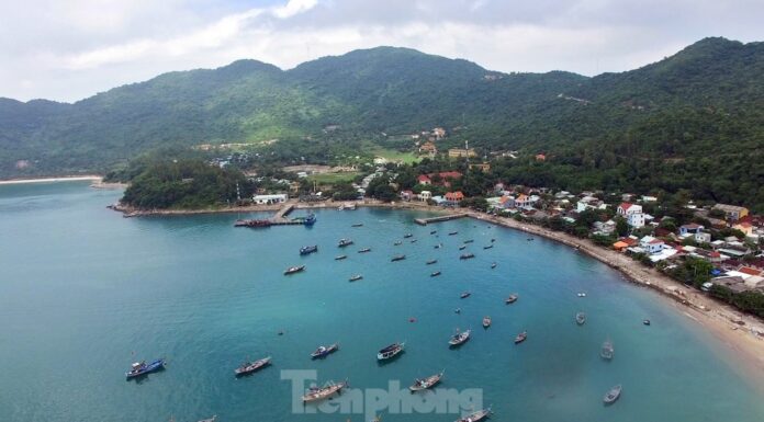 Dive into the Ultimate Wonder: Exploring the Marine Paradise of Cu Lao Cham