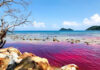 The Crimson Tide: A Rare Phenomenon Gracing Phu Quoc’s Shores