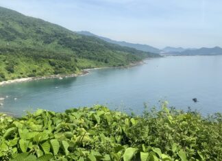 The Freshest Journey on Vietnam’s Most Scenic Route