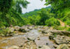 The Healing Stream: A Rejuvenating Escape Just 30km from Hanoi. Entry Fee: VND 100,000 for Unlimited Fun.