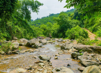 The Healing Stream: A Rejuvenating Escape Just 30km from Hanoi. Entry Fee: VND 100,000 for Unlimited Fun.