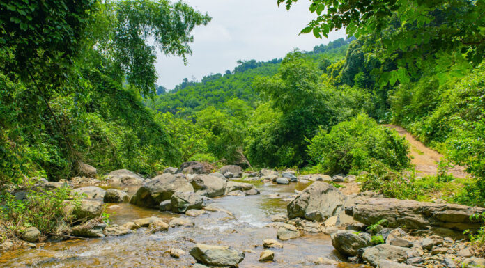 The Healing Stream: A Rejuvenating Escape Just 30km from Hanoi. Entry Fee: VND 100,000 for Unlimited Fun.