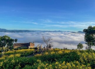 5 Healing Destinations in Vietnam