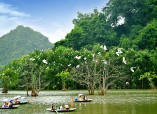 Exploring the Mystical Caves of Thung Nham and the North’s Largest Bird Garden