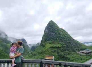 The Great Vietnam Adventure: A Family’s Journey with their Furry Companions