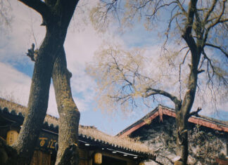 The Ultimate Guide to Traveling丽江 – Shangrila on a Budget: A Journey Without Mandarin.