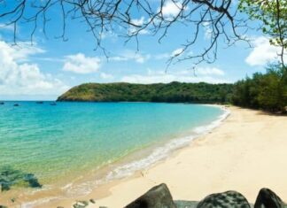 The Perfect Beach Couple: Da Nang’s Dynamic Duo