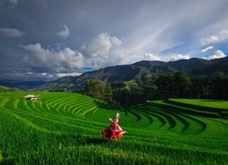 The Girl on Horse-Shoe Hill: A Picture-Perfect Scene that will Inspire Your Next Adventure.