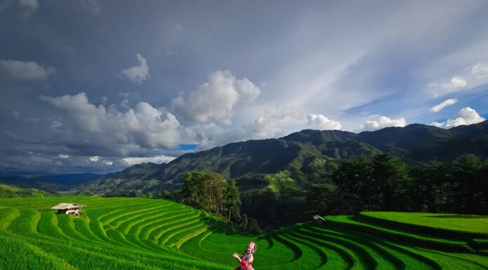 The Girl on Horse-Shoe Hill: A Picture-Perfect Scene that will Inspire Your Next Adventure.