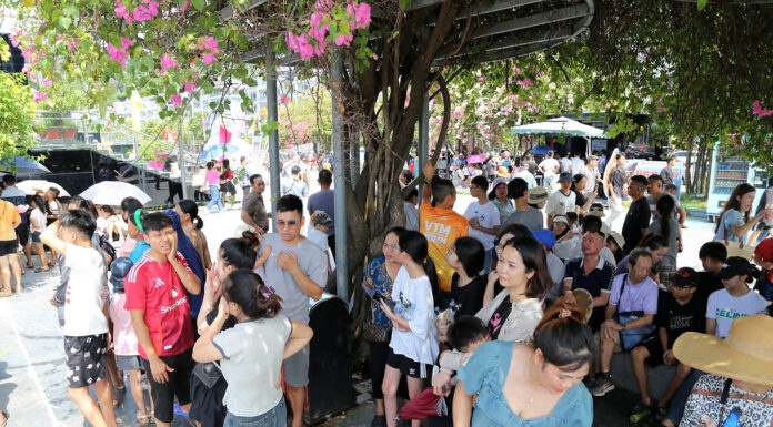 Experience the Coal Mines of Quang Ninh and Marvel at the Beauty of Tu Thuc Cave in Thanh Hoa