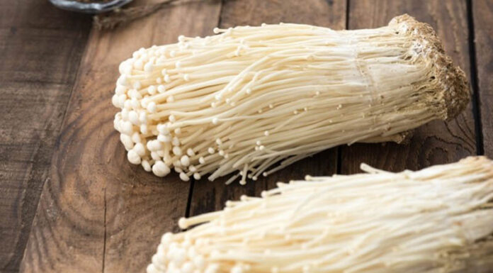 “A Healthy Alternative: Embrace This Affordable Superfood with Cancer-Fighting Properties”