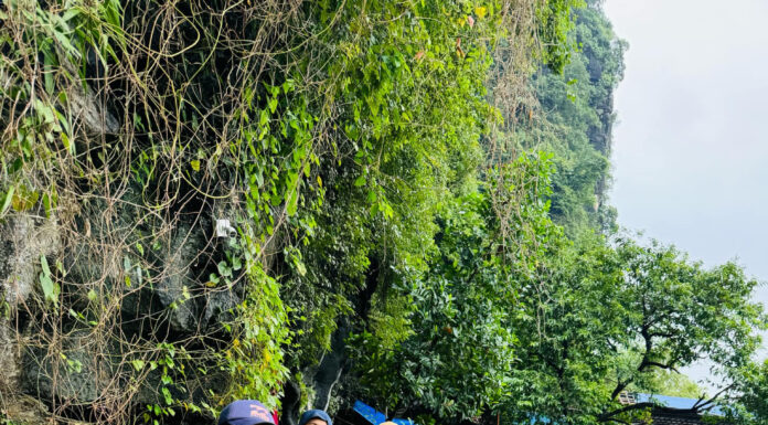 Foreigners Experience Coffee with a Splash of Quirk in Ninh Binh: Ducks Waddle Beneath Their Feet.